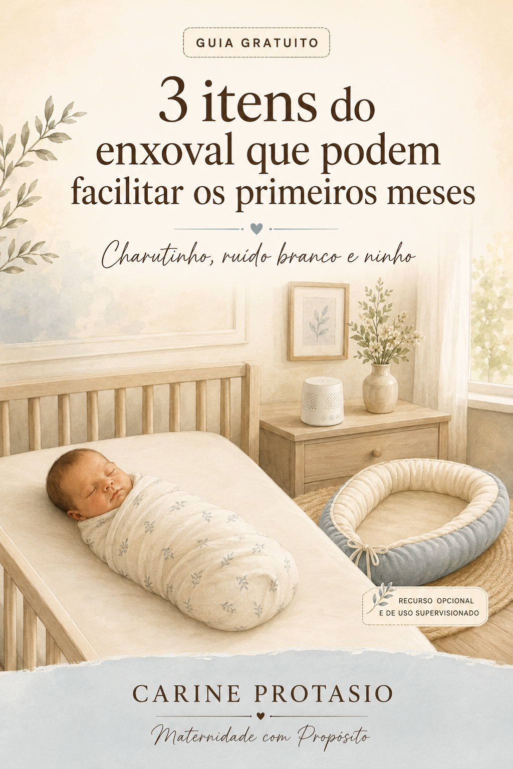 Capa do guia gratuito